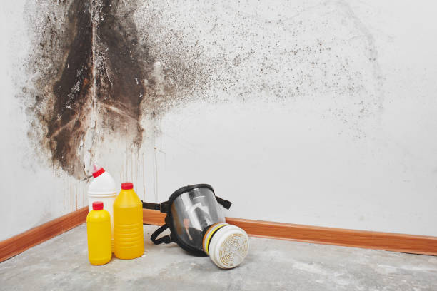 Best Crawl Space Mold Removal  in Cowan, TN