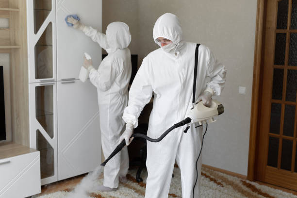 Mold Removal Process in Cowan, TN
